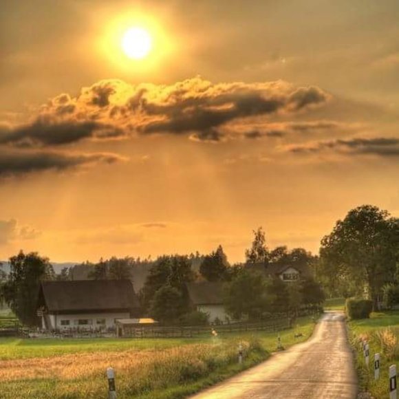 Make me an offer - Picture 6 of 7